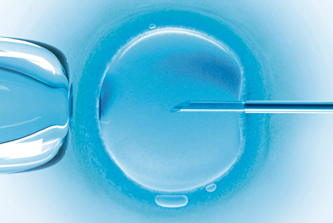 Most advanced techniques for assisted reproduction and other fertility treatments